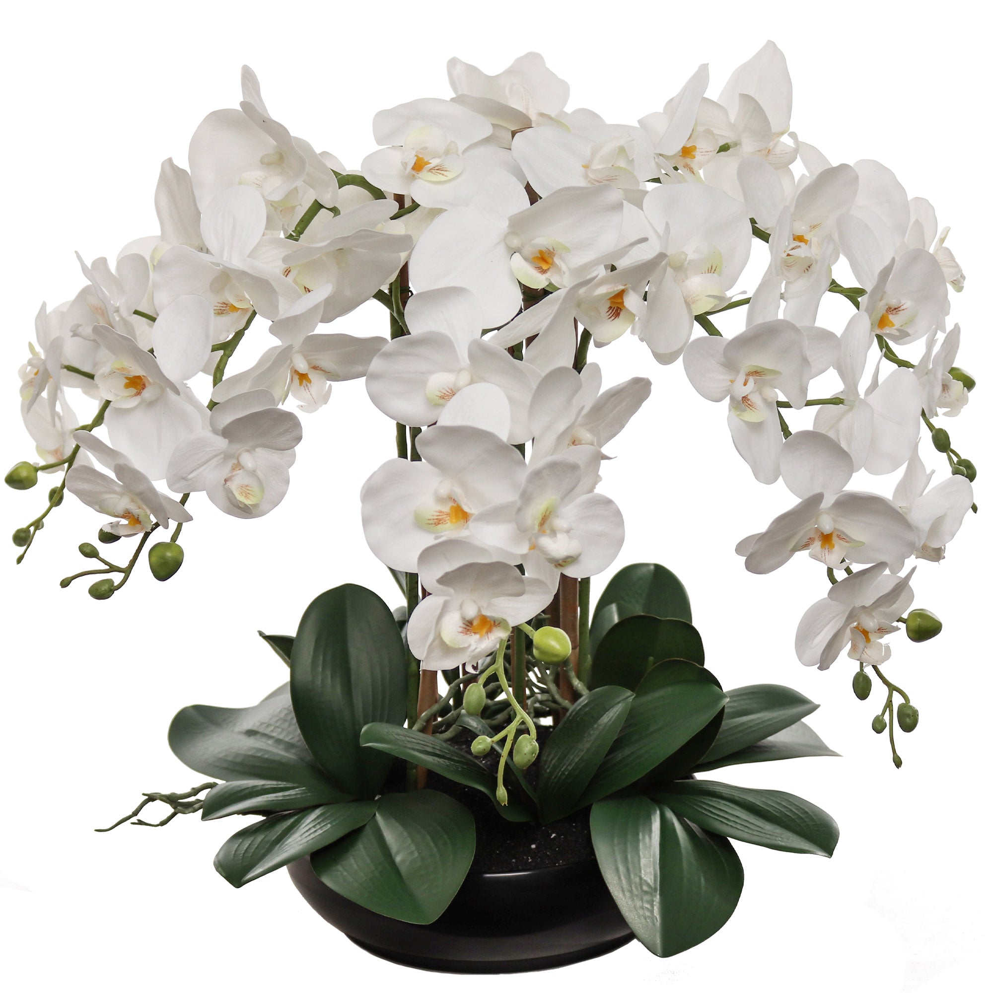 20" White Phalaenopsis Orchid - Lifelike Flower Arrangement - Larksilk