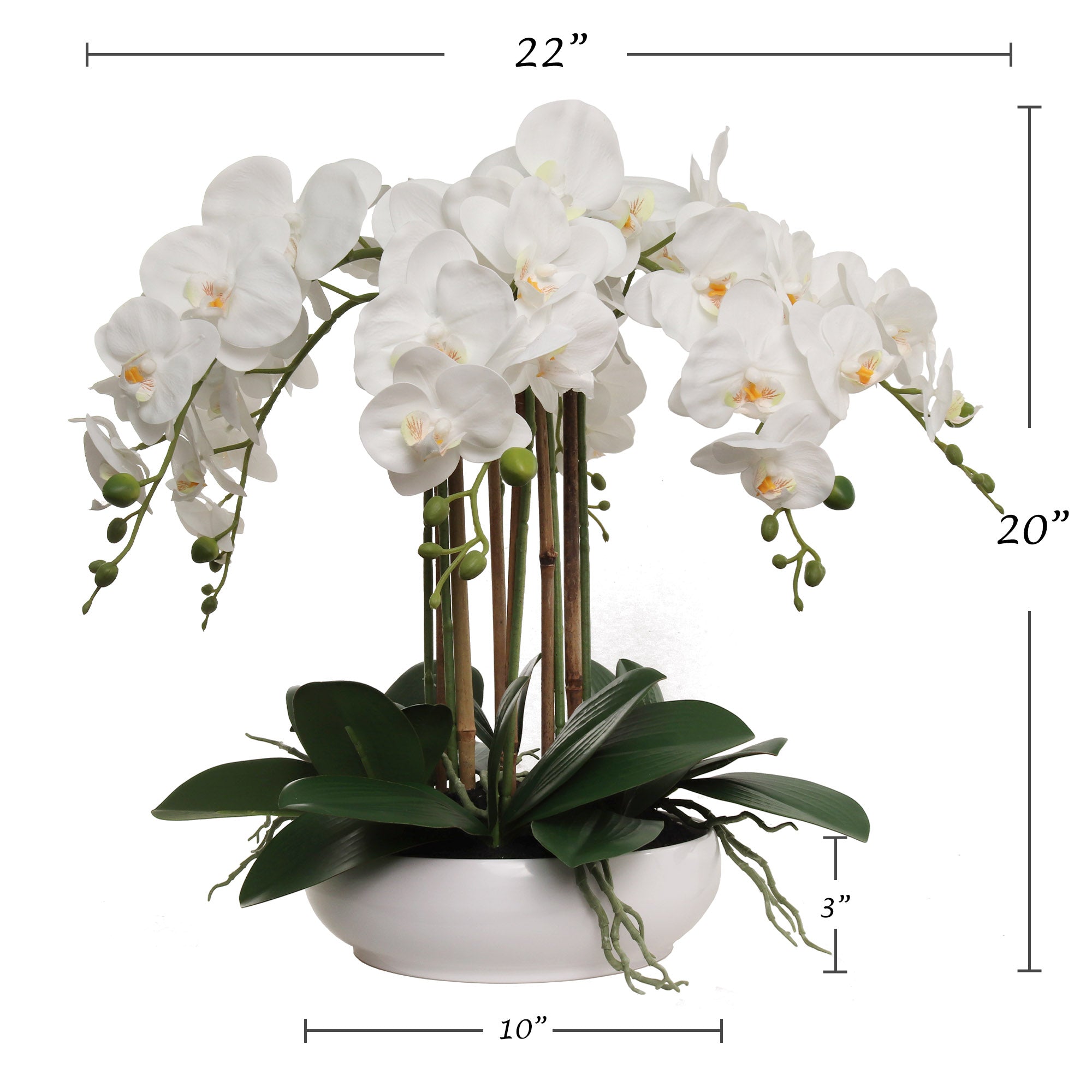 20" White Phalaenopsis Orchid Flowers in 10" Round White Pot - Larksilk