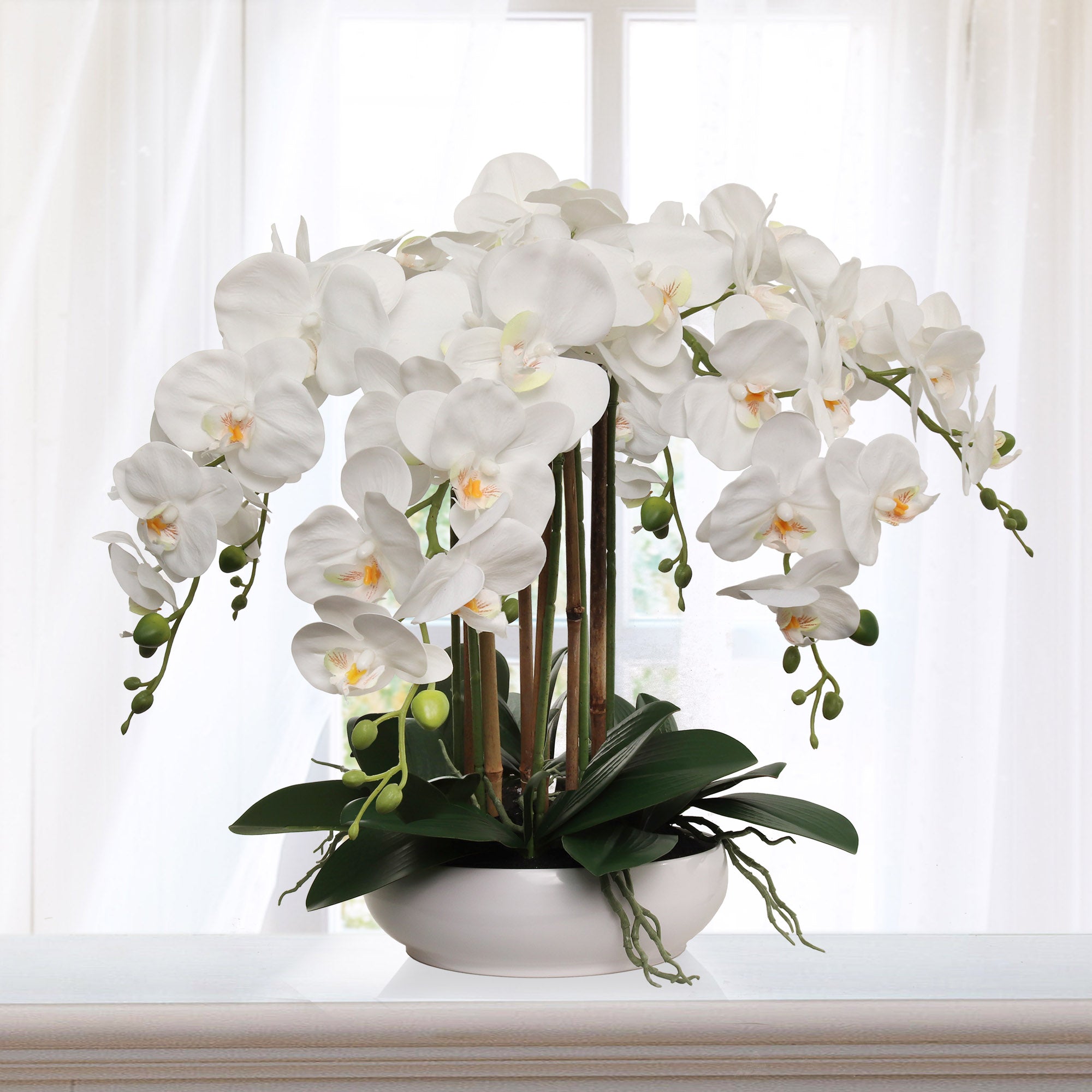 20" White Phalaenopsis Orchid Flowers in 10" Round White Pot - Larksilk