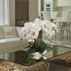 20" White Phalaenopsis Orchid Flowers in 10" Round White Pot - Larksilk