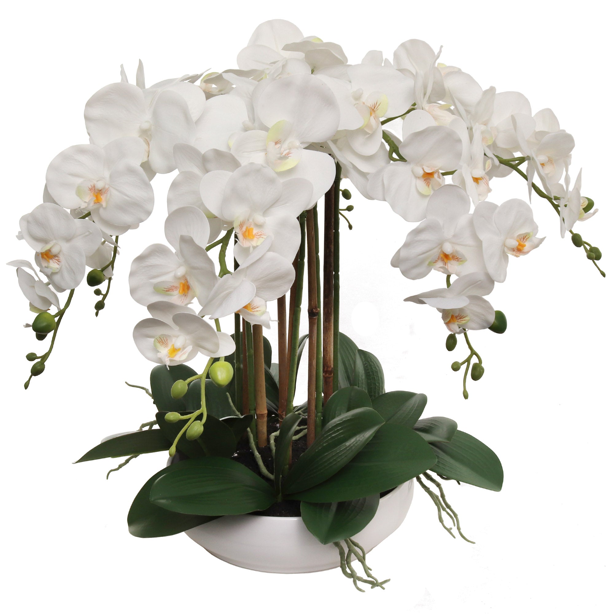 20" White Phalaenopsis Orchid Flowers in 10" Round White Pot - Larksilk