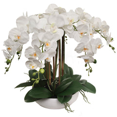 20" White Phalaenopsis Orchid Flowers in 10" Round White Pot - Larksilk