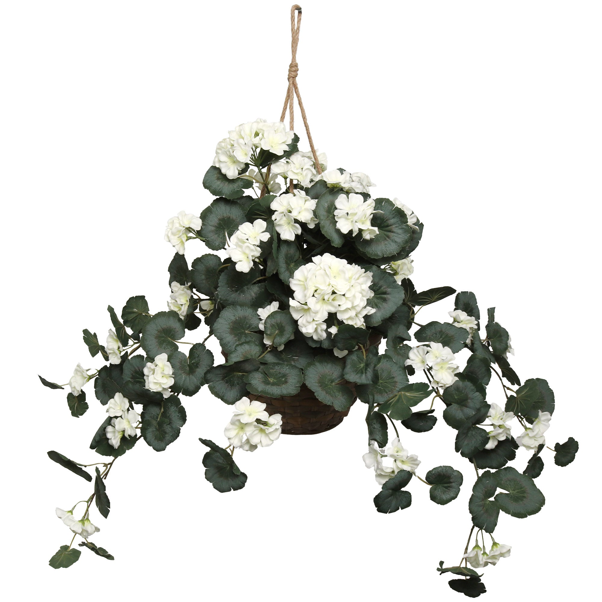 25" Geranium Bush in a Hanging Basket - Larksilk