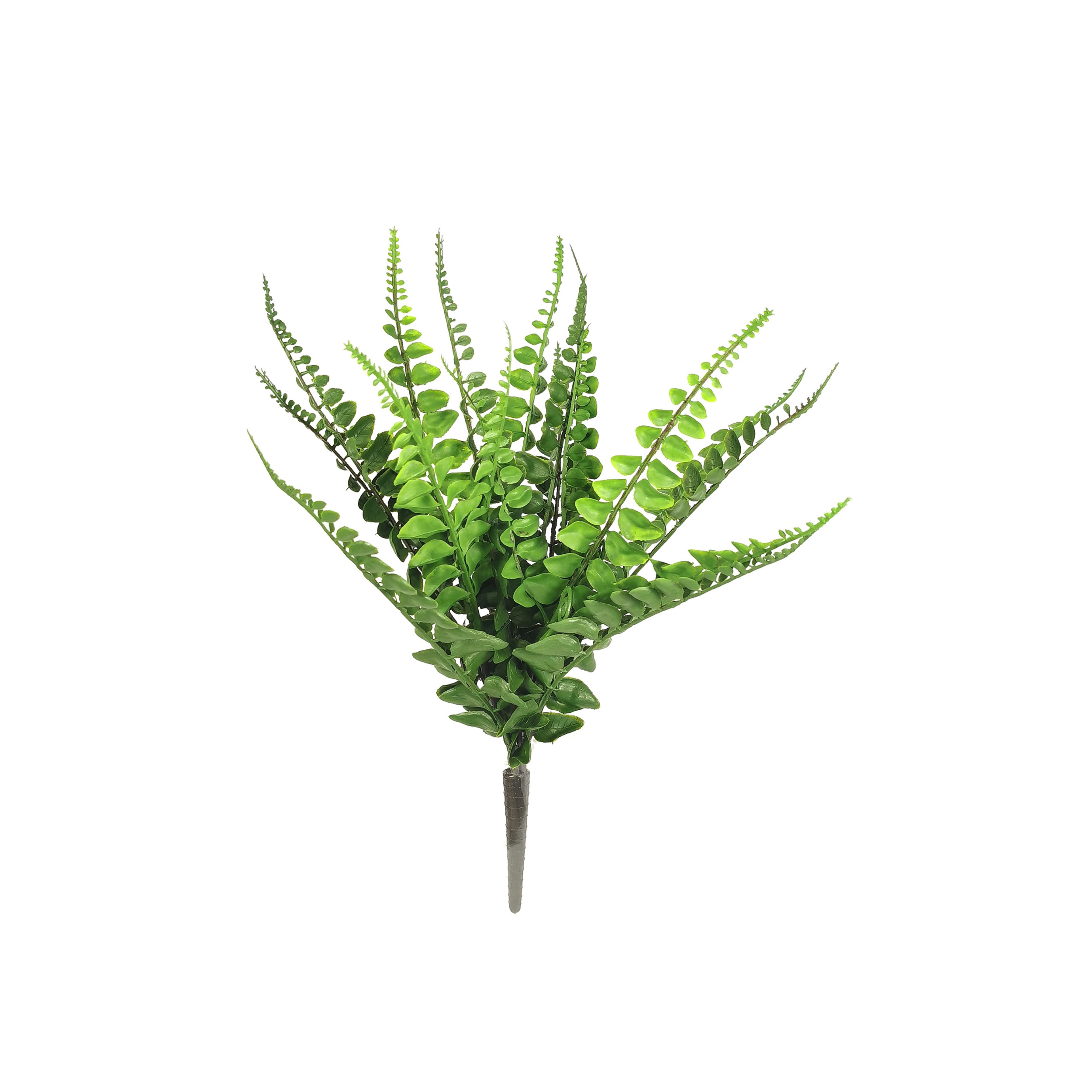14" Buckler Fern Bush - Larksilk