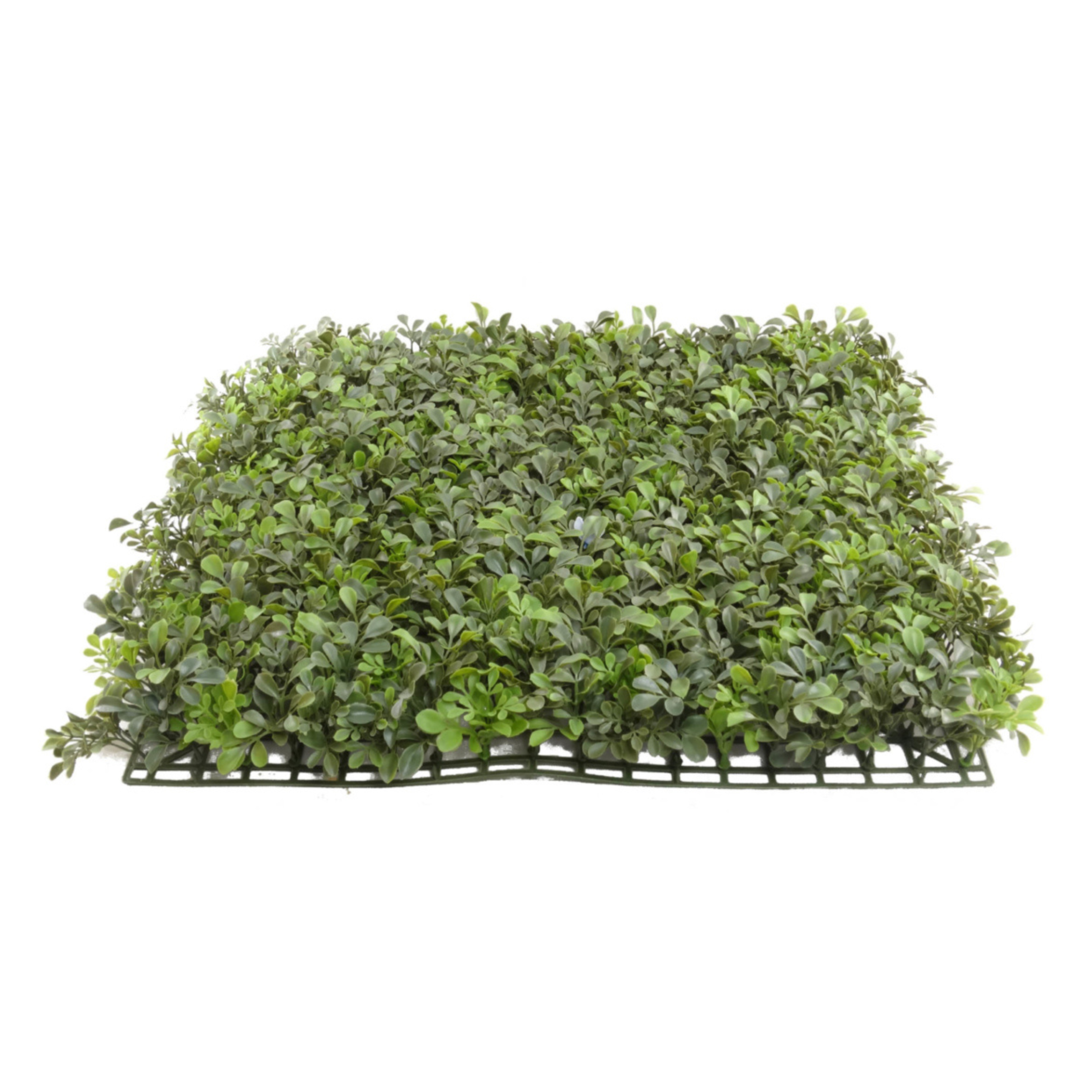 Boxwood Square - 20" X 20" - Larksilk