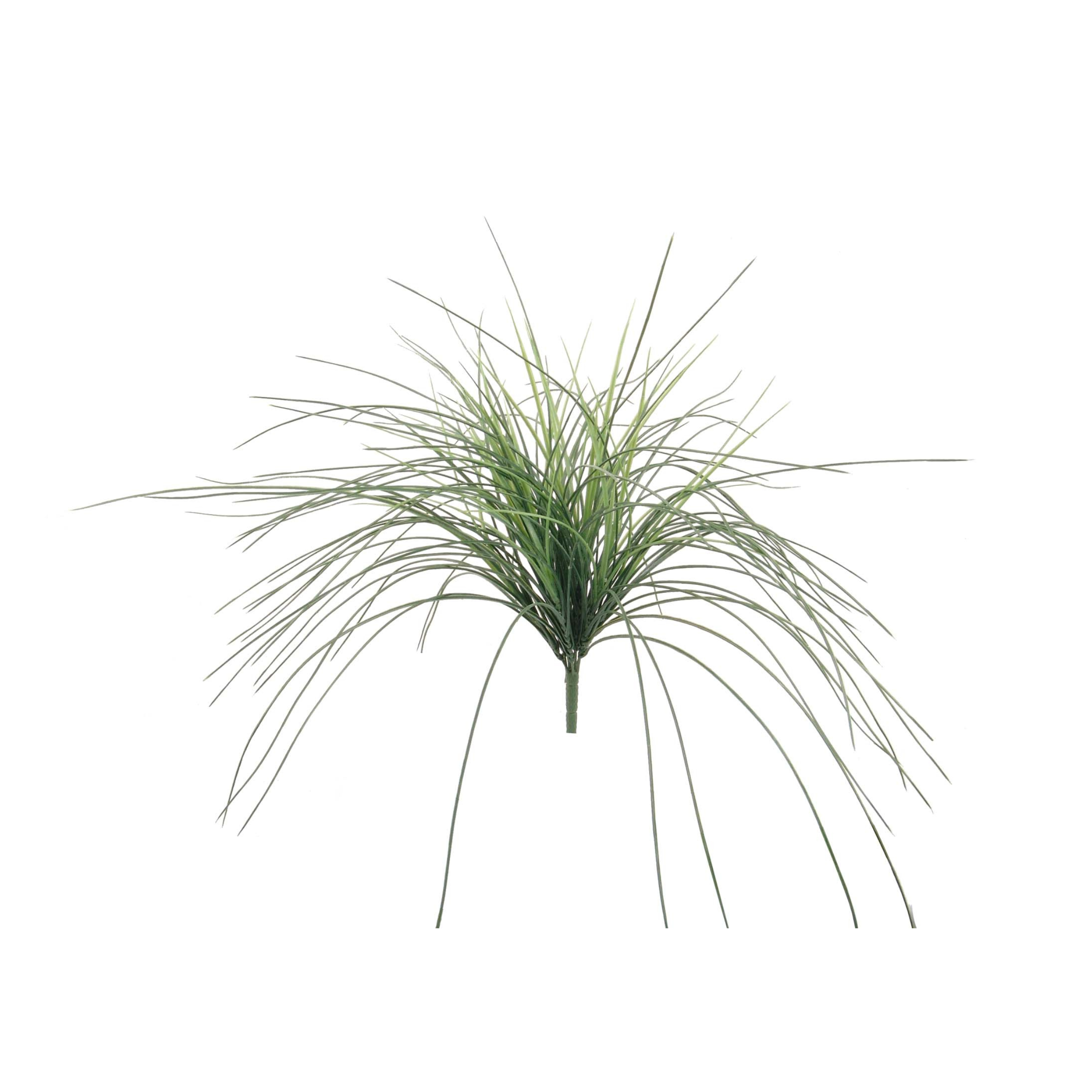 23" Mondao Grass Bush - Larksilk