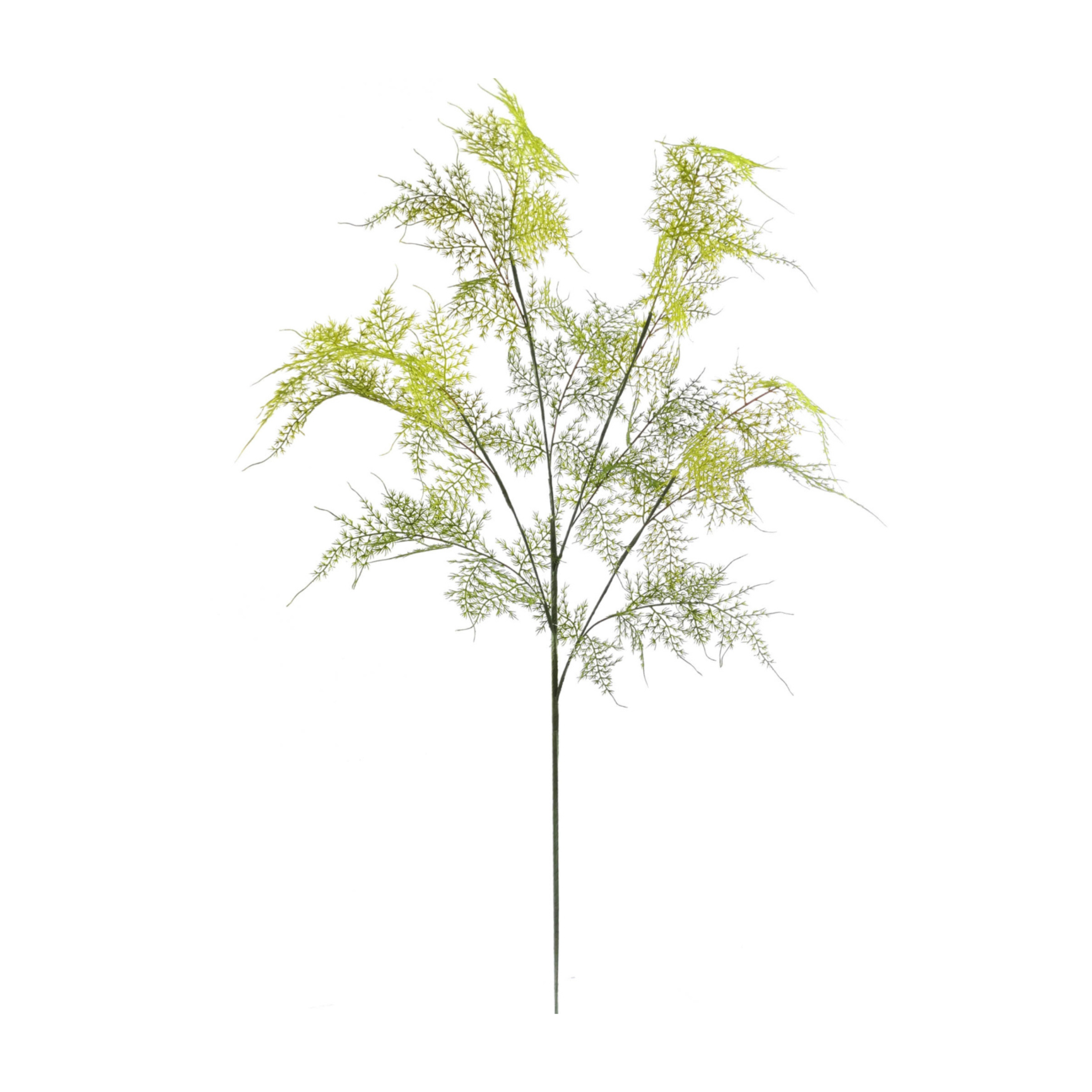 35" Asparagus Spray - Larksilk