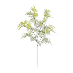 35" Asparagus Spray - Larksilk