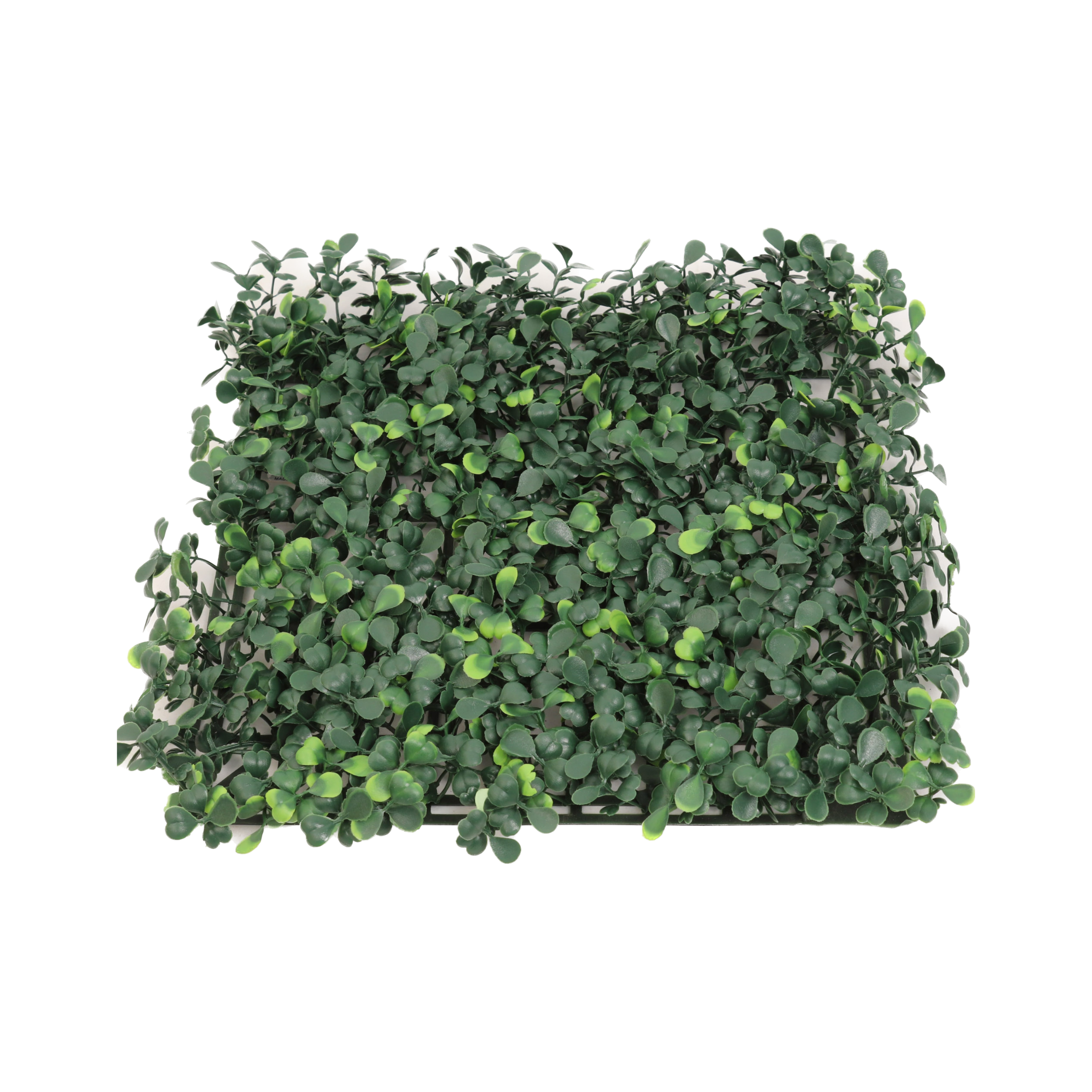 Boxwood Square - 10" X 10" - Larksilk