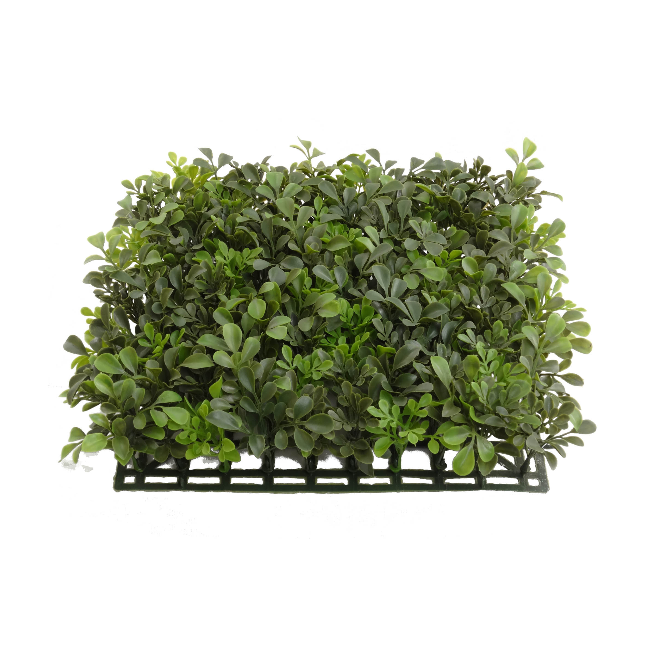 Boxwood Square - 12" x 12" - Larksilk