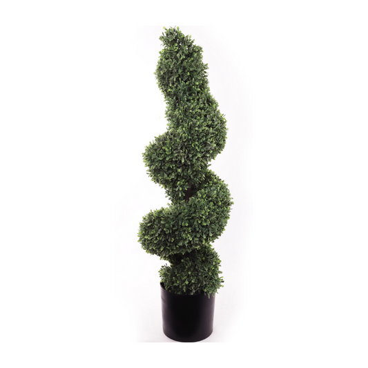 36" Boxwood Spiral Topiary Tree in Black Pot