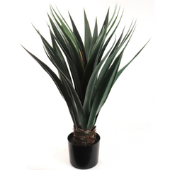 31.5" Agave Succulent Plant in Black Pot (30LVS) - Larksilk