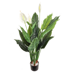 42" Spathiphyllum Plant in Black Pot - Larksilk