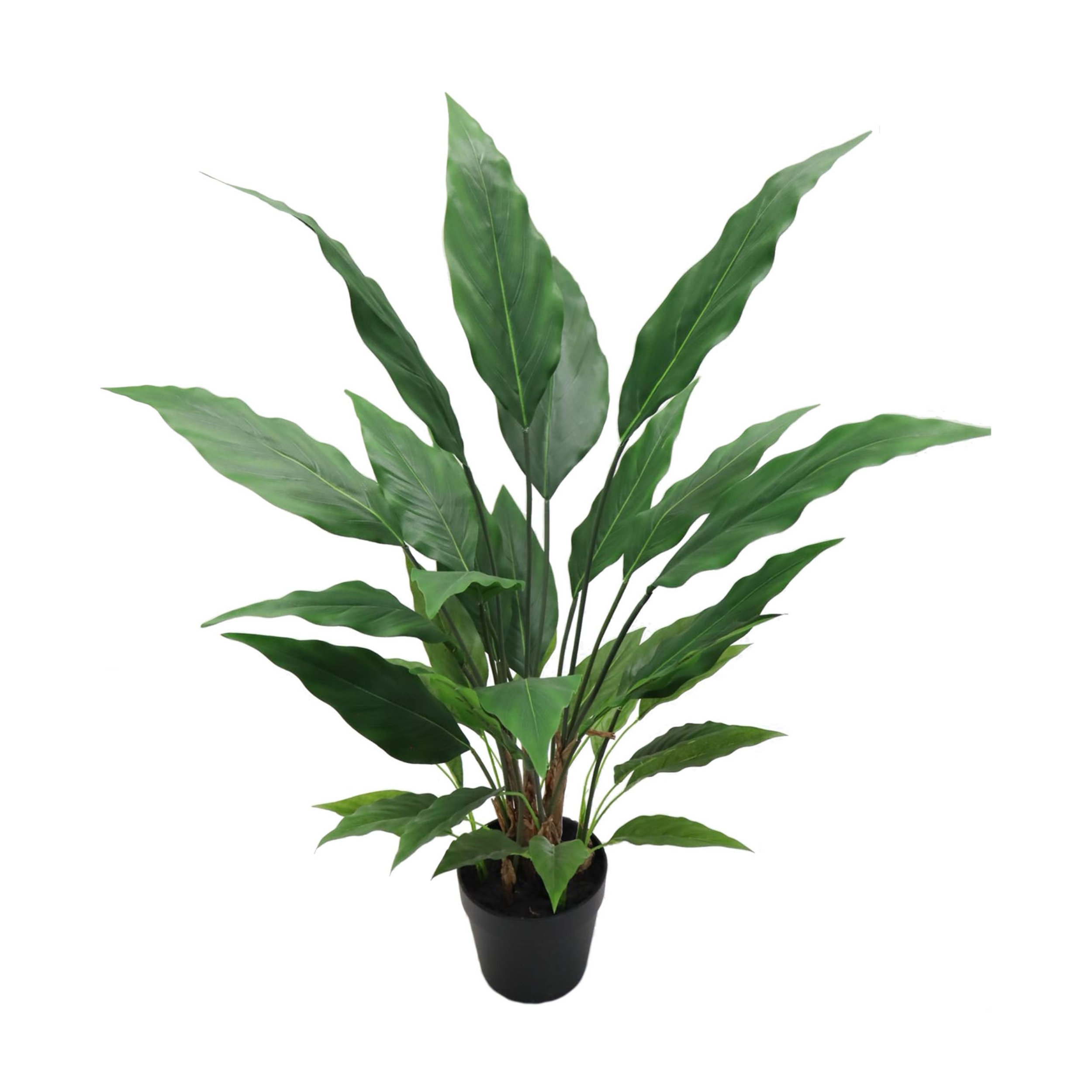 36" Spathiphyllum Plant in Black Pot - Larksilk