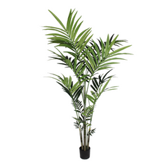 7ft Kentia Palm Tree in Black Pot w/ 248 Silk Leaves - Larksilk