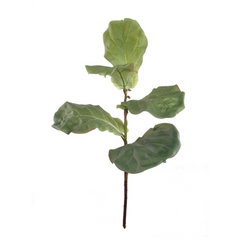 36" Bango Fig Spray - Larksilk