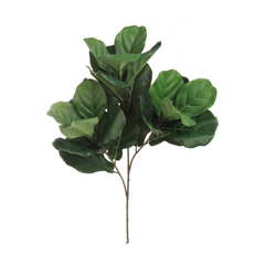34" Fiddle Leaf Spray - Larksilk