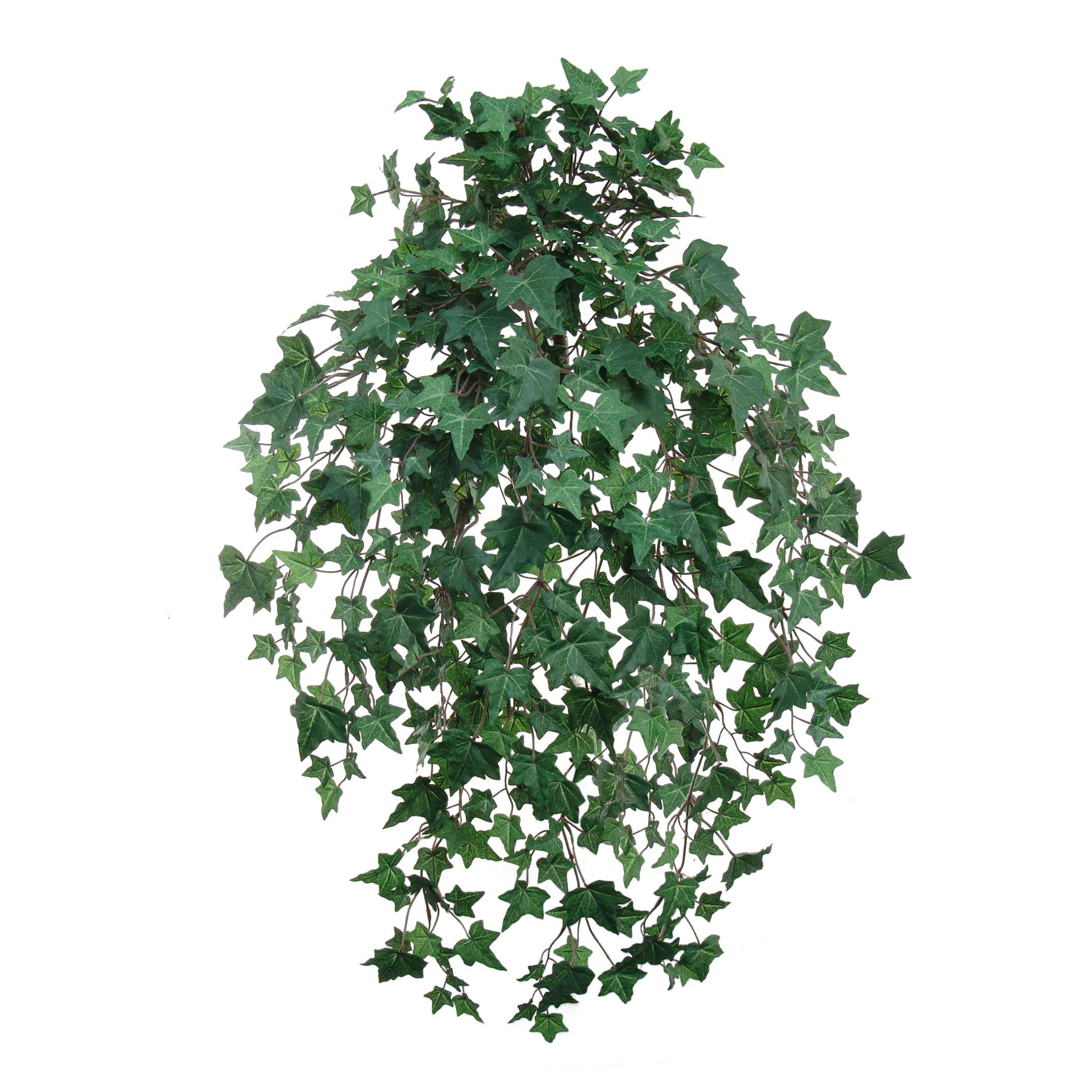 English Ivy Bush w/ 530 Silk Leaves - 33" Long - Larksilk
