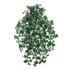 English Ivy Bush w/ 530 Silk Leaves - 33" Long - Larksilk