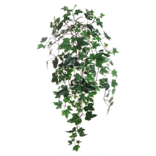 Variegated English Ivy Bush w/ 157 Silk Leaves - 33" Long