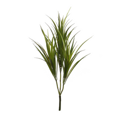 29" Dracaena Marginata - Larksilk