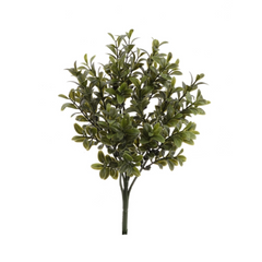10" Boxwood Pick 2024 Christmas Collection - Larksilk