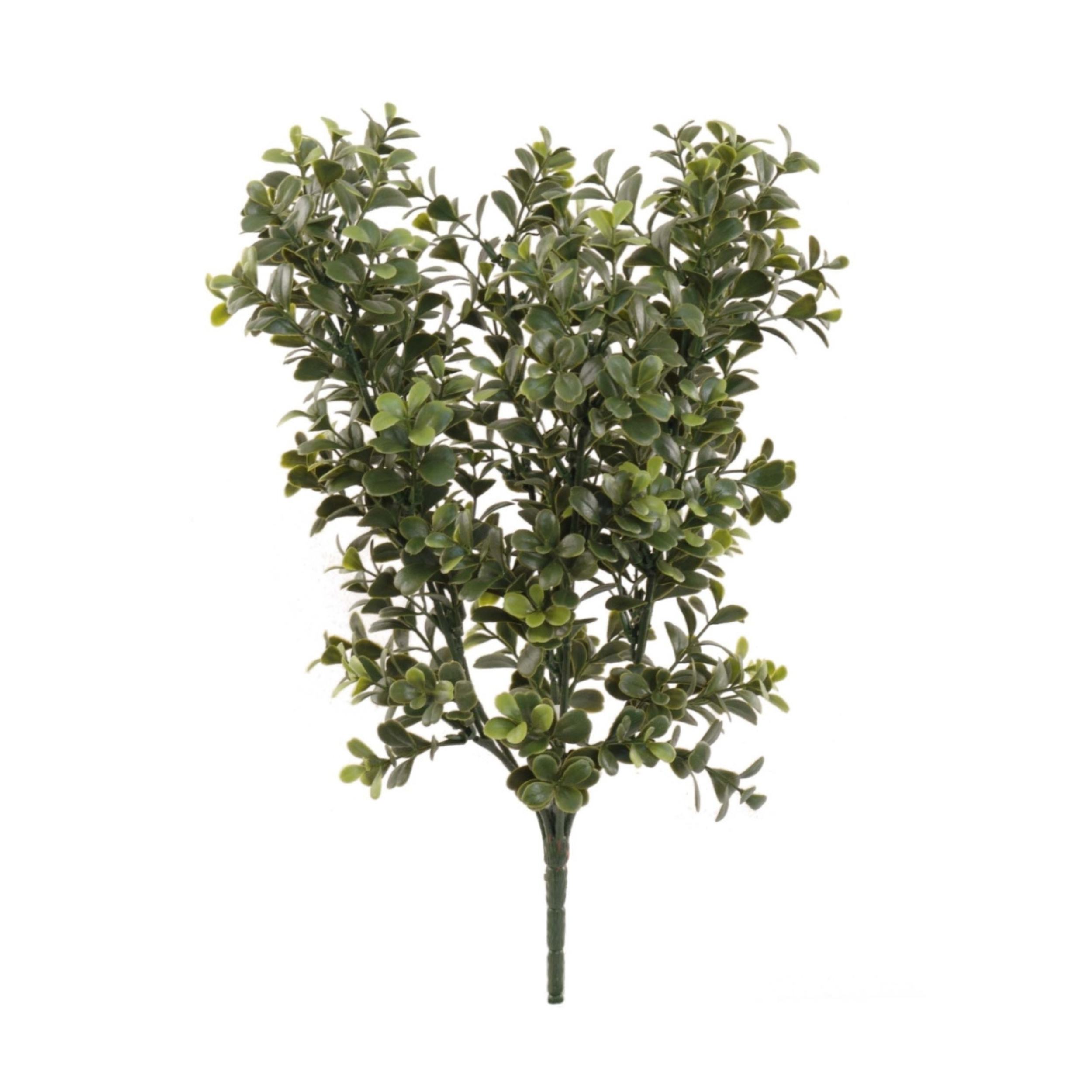 17" Boxwood Bush - Larksilk