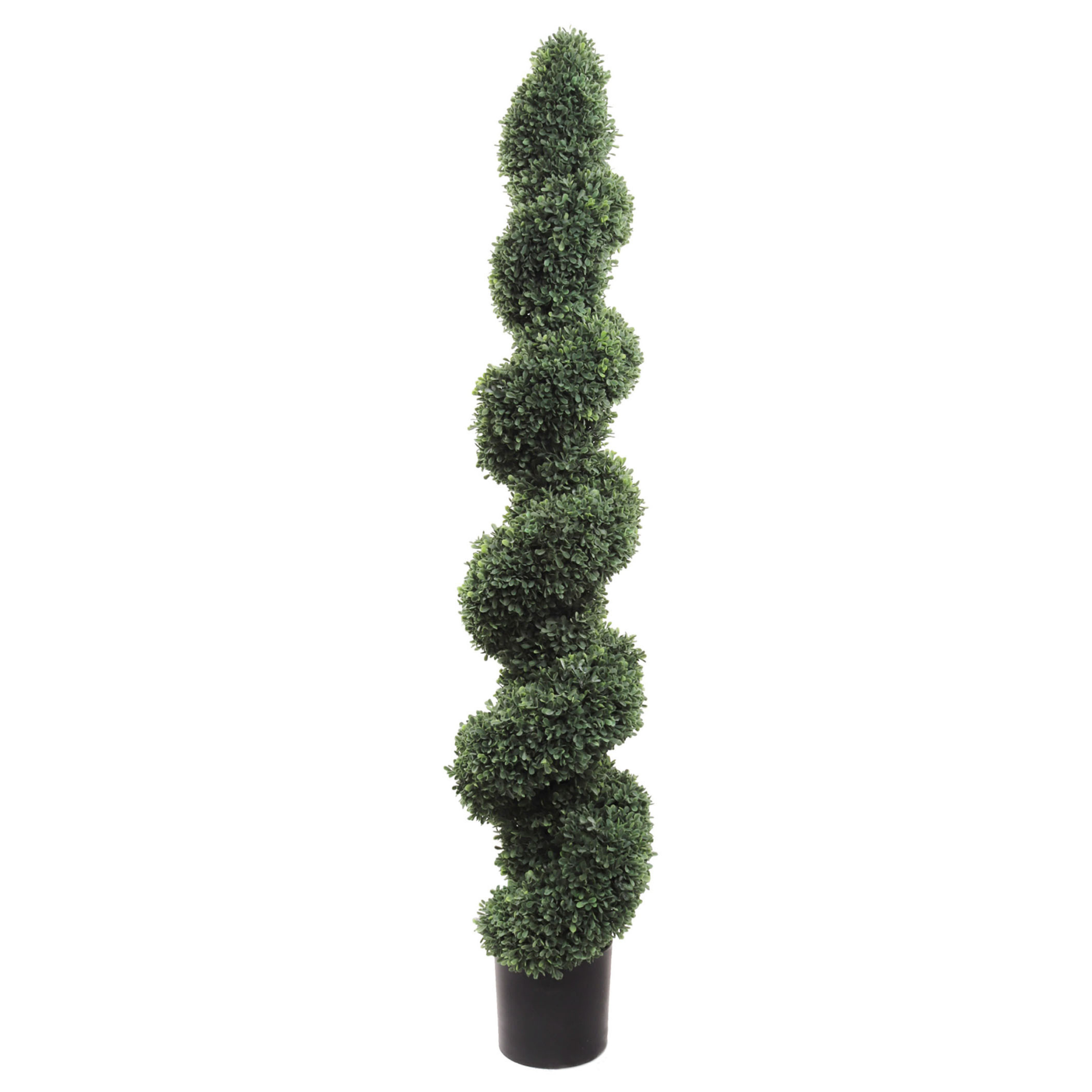58" Spiral Boxwood Topiary Tree in Black Pot - Larksilk