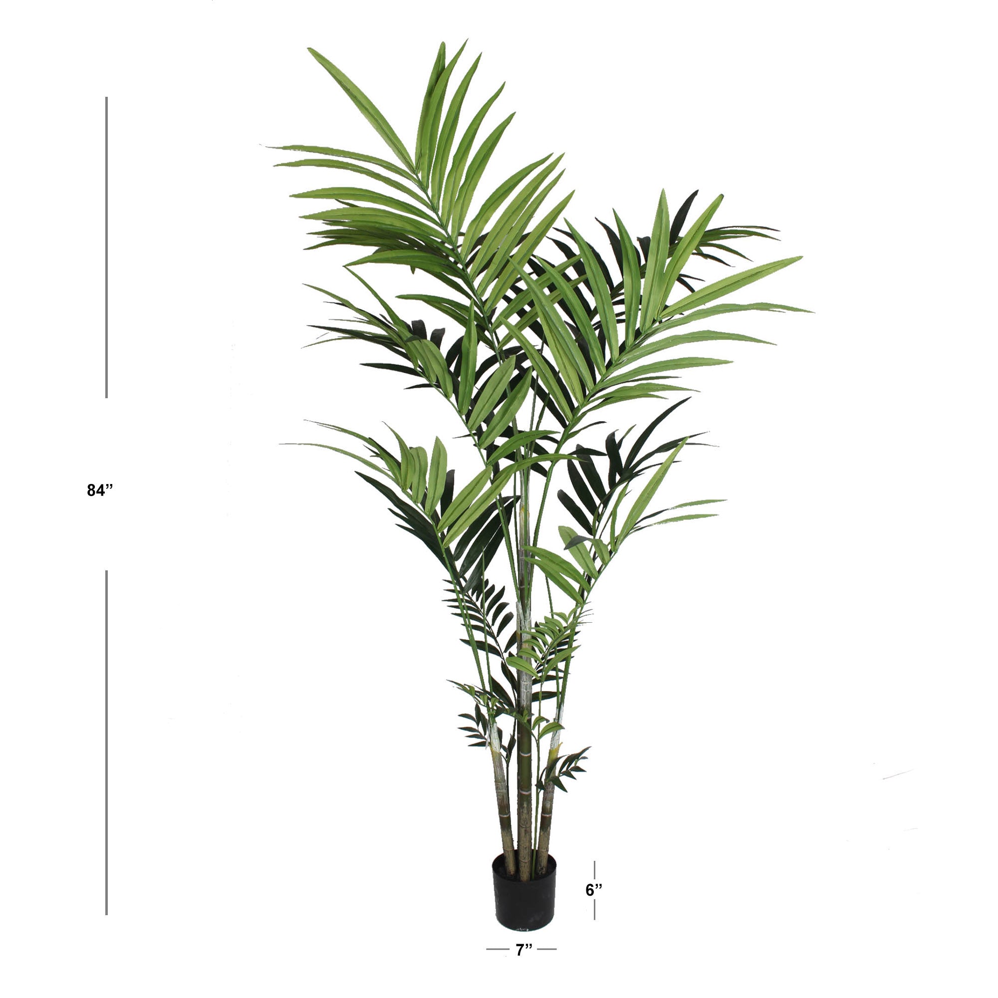 7ft Kentia Palm Tree in Black Pot w/ 248 Silk Leaves - Larksilk