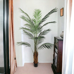6ft Areca Palm Tree In Black Pot W/ 567 Silk Leaves
