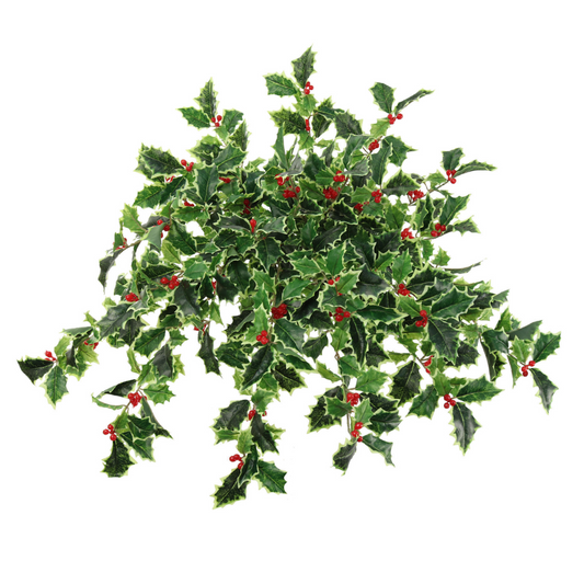 23" Holly Bush with 56 Red Berries - 525 Green White Leaves