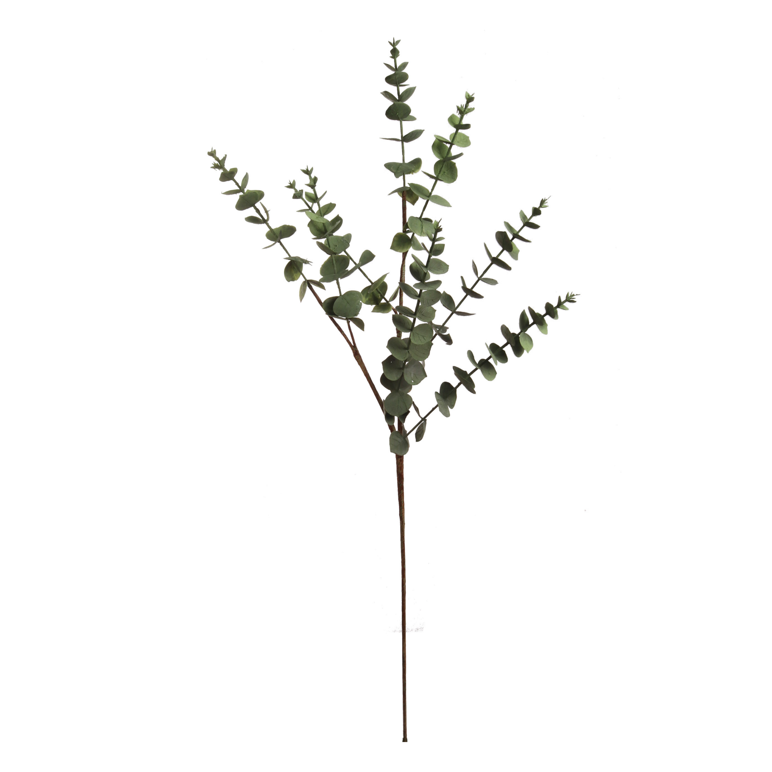 30" Eucalyptus Spray - Larksilk
