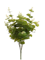 Eucalyptus Bush - 20" - Larksilk