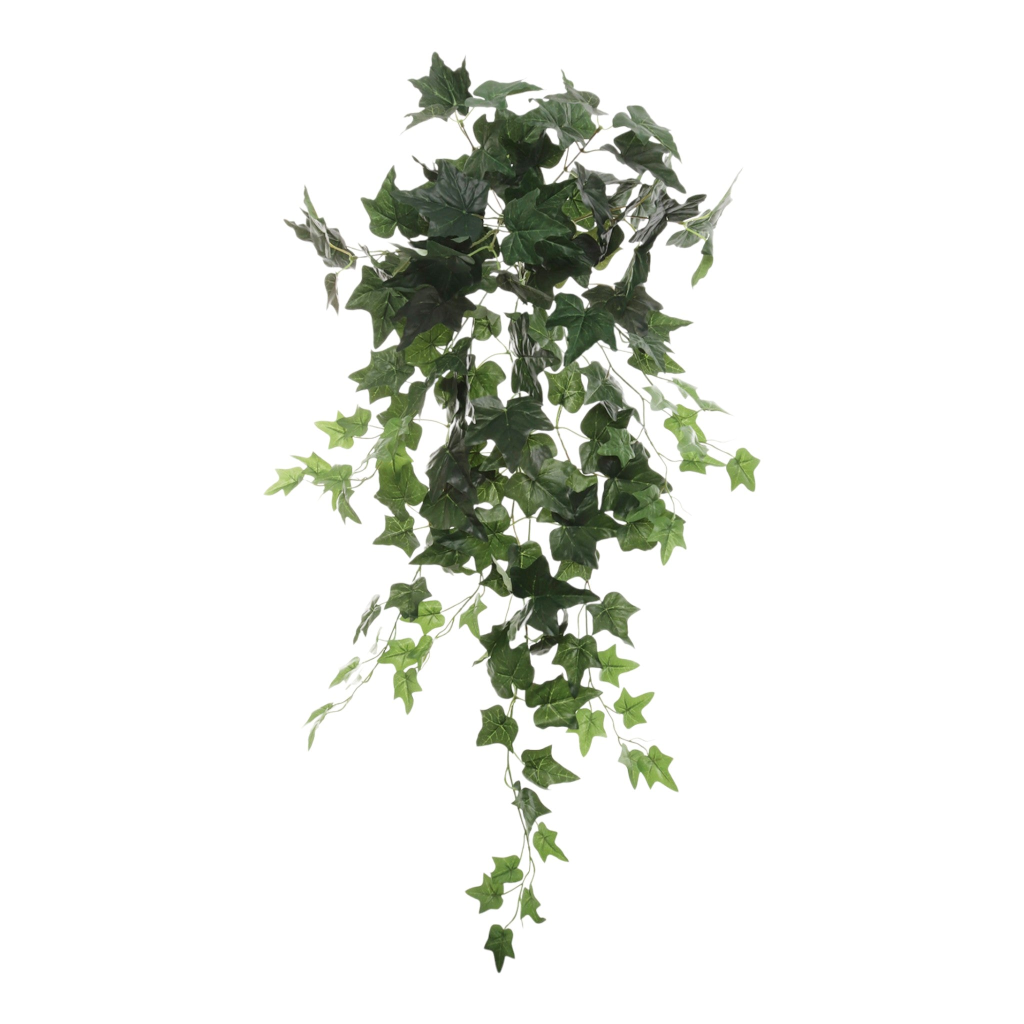 Hanging English Ivy Bush - 36" - Larksilk