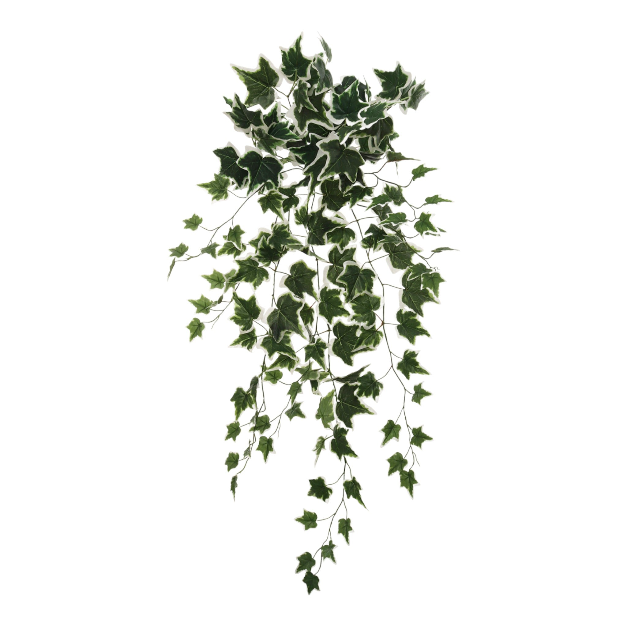 Hanging Variegated Ivy Bush - 36" - Larksilk