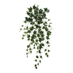 Hanging Variegated Ivy Bush - 36" - Larksilk