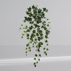 Hanging Variegated Ivy Bush - 36" - Larksilk