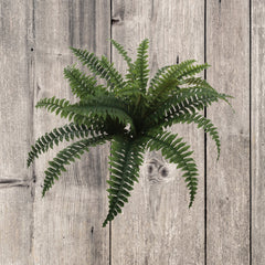 Boston Fern Plant with 25 Silk Fronds - 28" Wide
