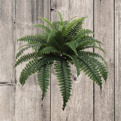 Boston Fern Plant with 49 Silk Fronds - 34" Wide
