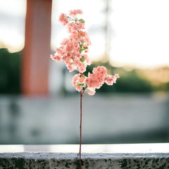 Cherry Blossom Branch Spray - 30" - Larksilk