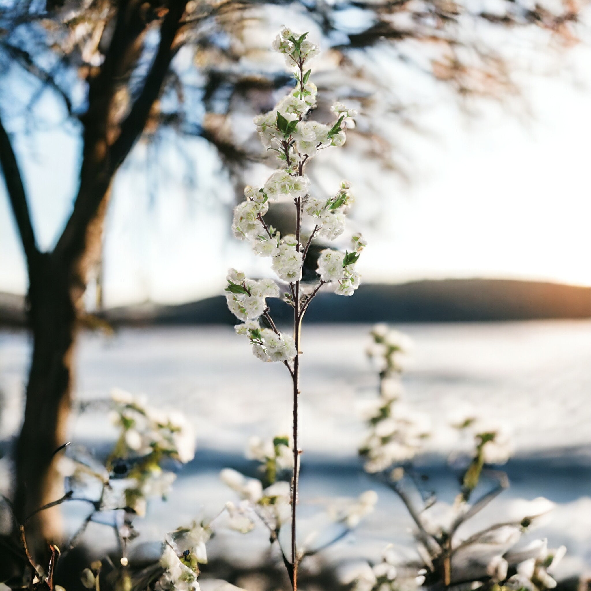 Cherry Blossom Branch Spray - 45" - Larksilk