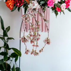 Hanging Cherry Blossom Branch Spray - 60" - Larksilk