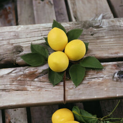 8" Lemon Pick