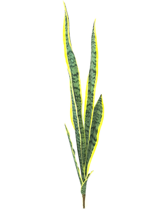 32" Snake Plant - Larksilk