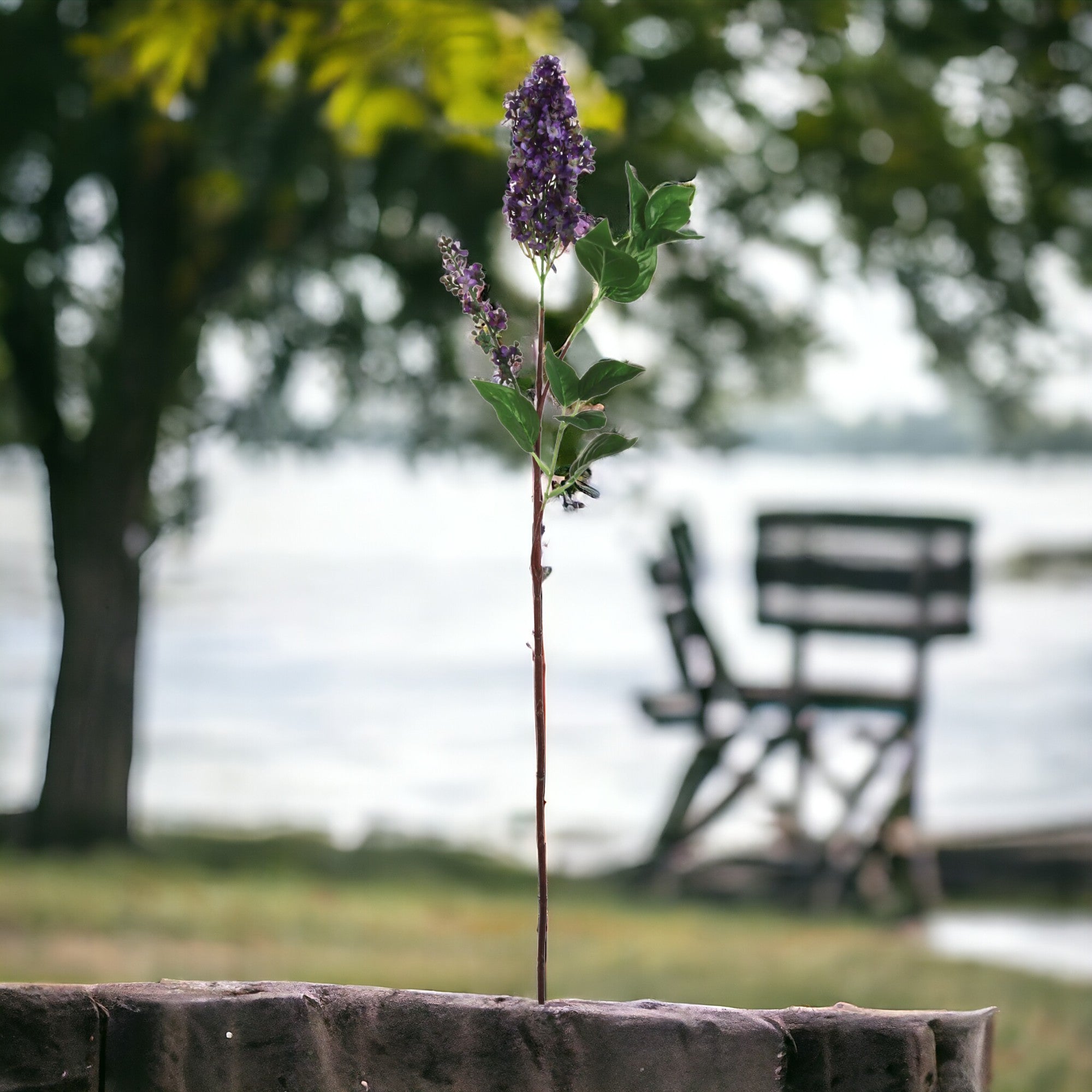 37" Lilac Stem - Larksilk