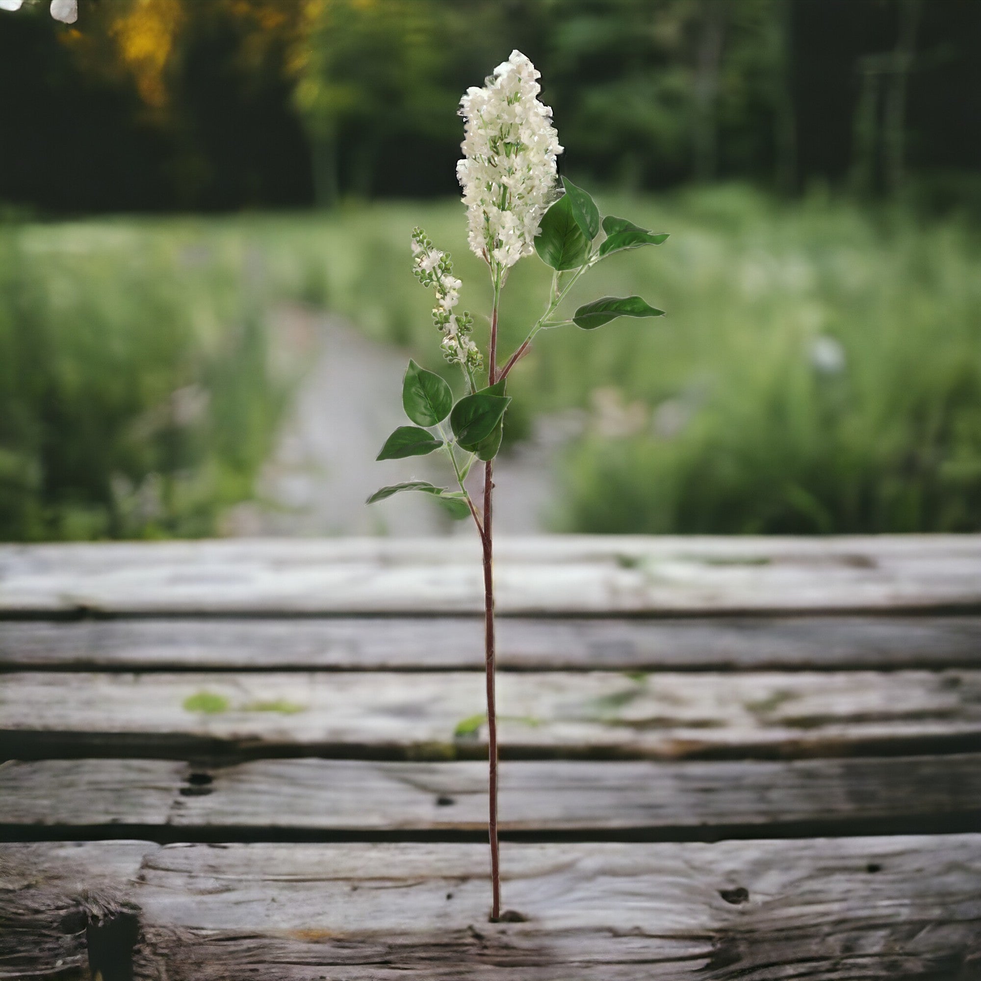 37" Lilac Stem - Larksilk