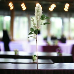 37" Lilac Stem - Larksilk