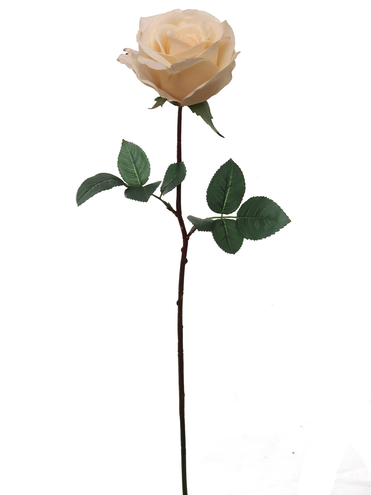 27"REAL TOUCH ROSE 4"DIA - Larksilk