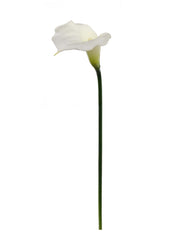 21" CALLA LILY Cream