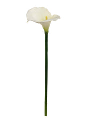 26" CALLA LILY Cream